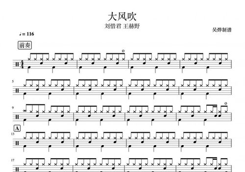 王赫野&刘惜君-大风吹架子鼓谱爵士鼓曲谱