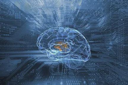 陈根:新型神经成像技术,实现大脑活动实时读取