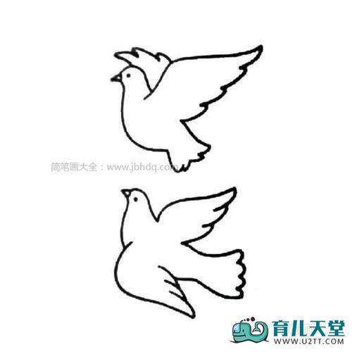 儿童鸽子简笔画,成双的和平鸽简笔画