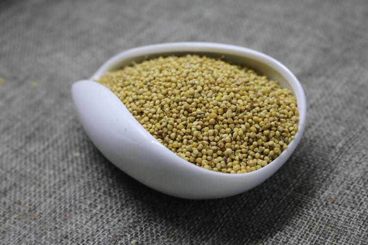 供应谷芽1000g 另有稻芽 麦芽 中药材供应批发