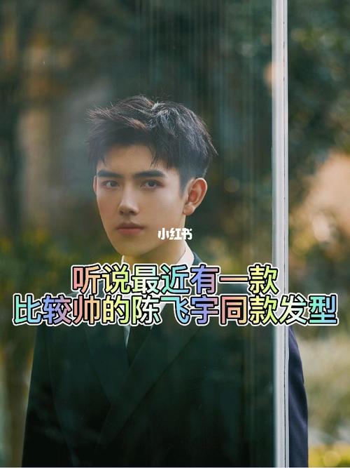 陈飞宇同款发型_发型_时尚_发型