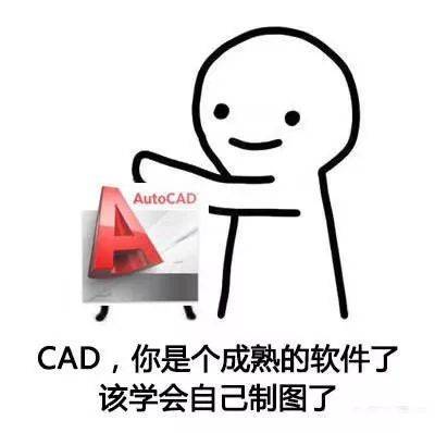 "东软妈粉"有话说| 你已经是个成熟的.