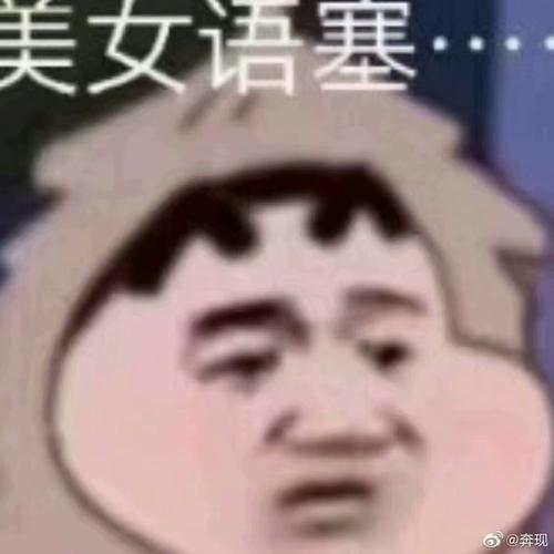 美女语塞表情包