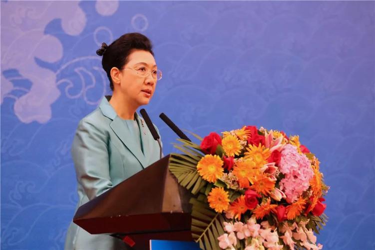 深圳市委常委,统战部部长 林洁