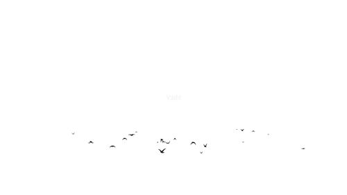 水墨飞雁远去画面前景_1920x1080_高清视频素材下载(编号:2823404)