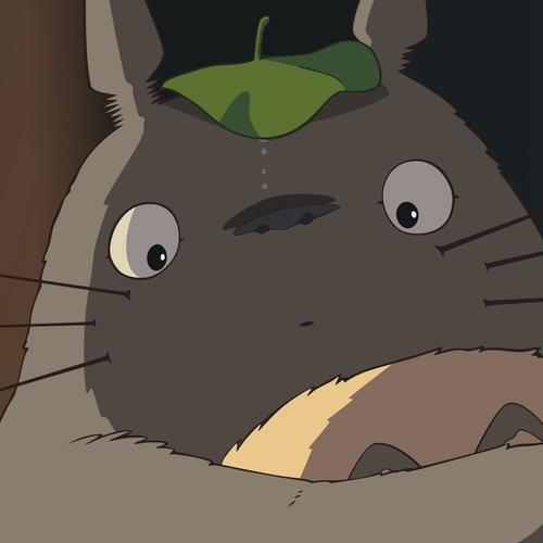 龙猫