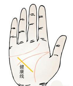 短命的手相图解大全