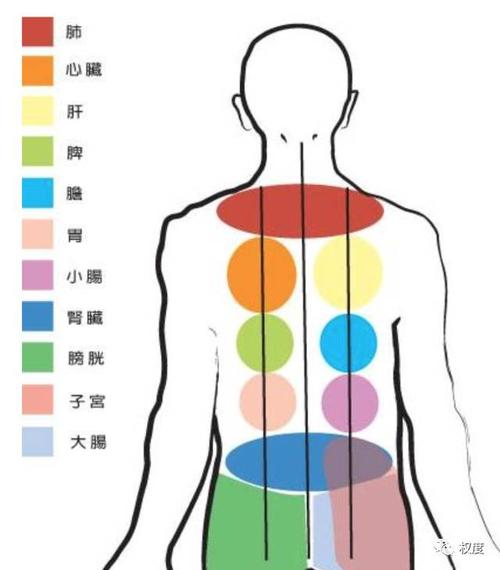 火疗后背的重要性怎么火疗