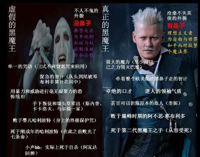 伏地魔,哈利·波特