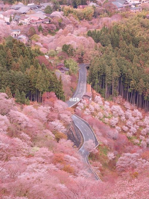 日本旅行|日本第一赏樱94圣地-奈良吉野山_樱花_日本_奈良_日本旅行