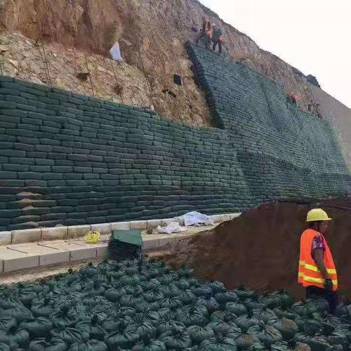 生态棒生态袋土工袋植生袋长条布袋护坡喷播挡土墙河道加固