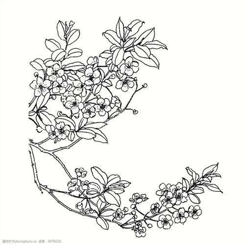 46 mb 格式: ai 编号: 20180901025154369041 类型: vip素材 模式