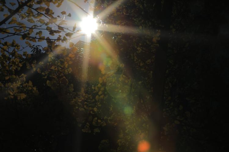 练习拍摄太阳的星芒效果,初见端倪,广角镜头光圈最小值,千篇一律.