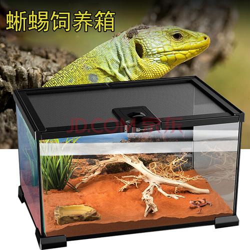 爬宠饲养箱爬虫玻璃缸乌龟水龟刺猬金丝熊蜜袋鼯豹纹守宫甲虫寄居蟹
