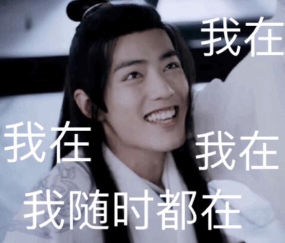 《陈情令》肖战表情包