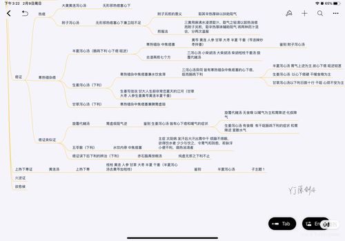 中医伤寒论太阳病病篇思维导图