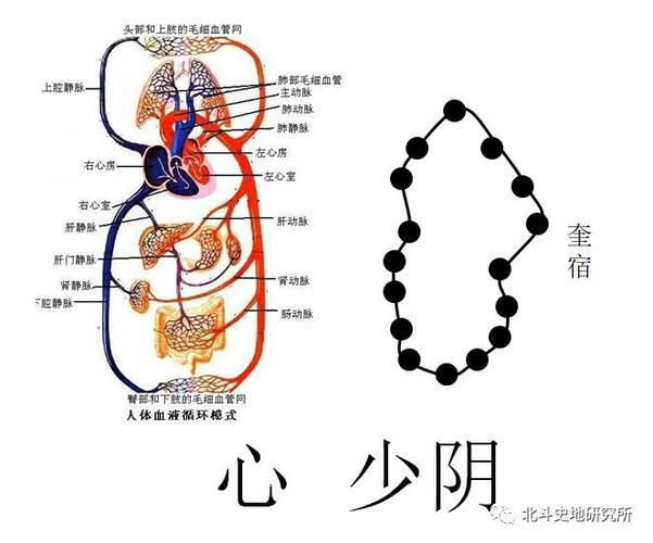 6,手太阳小肠经