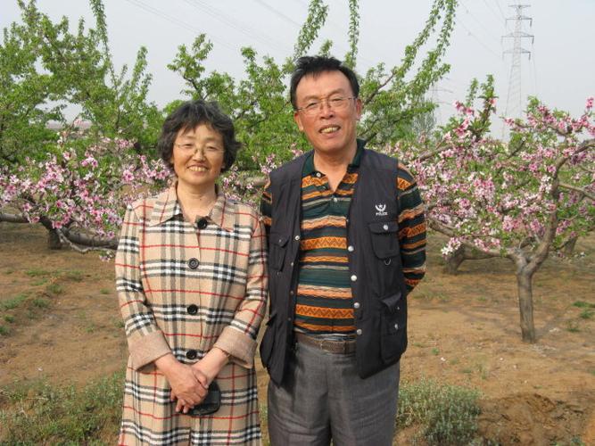 入山海关过桃园