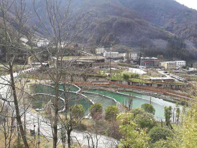 位于四川省卧龙国家级自然保护区管理局耿达乡神树坪——黄草坪区