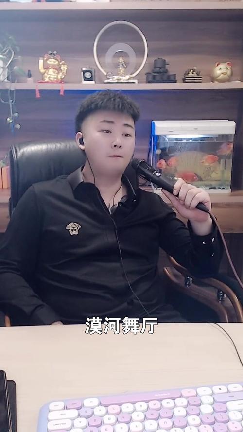 漠河舞厅歌手伯乐翻唱的这个版本怎么样