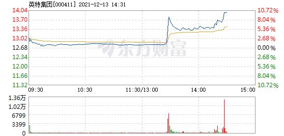 英特集团12月13日盘中涨停