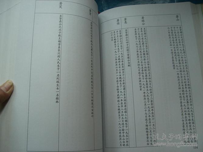 金城魏氏川五房之三房家谱【精装本】