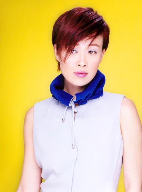 高峰私生子事件—当事人阿文召开新闻发布会 图片新闻姓 名:那 英