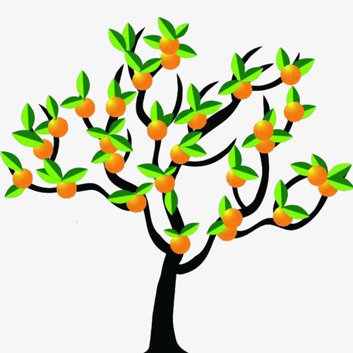 关键词 : 矢量图,橘子,绿色,果树,橘树