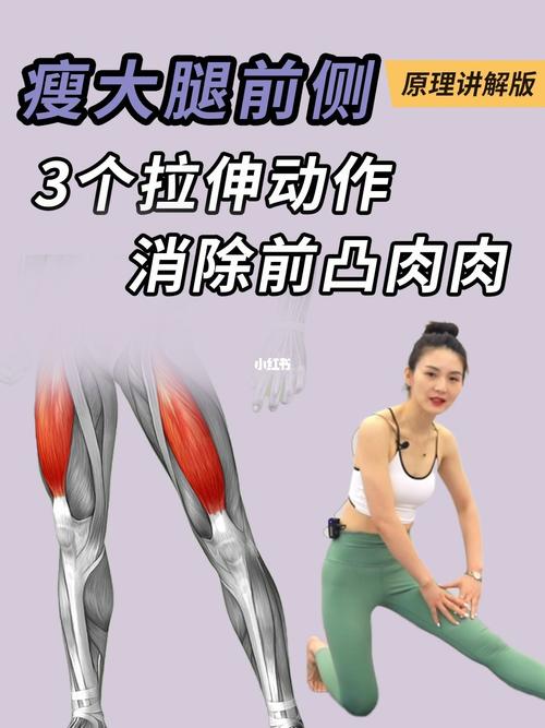 瘦大腿前侧,3个拉伸动作,消除前凸肉肉_瘦大腿_拉伸_新手_臀桥_瑜伽