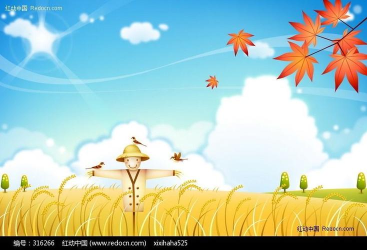 秋季丰收的稻田