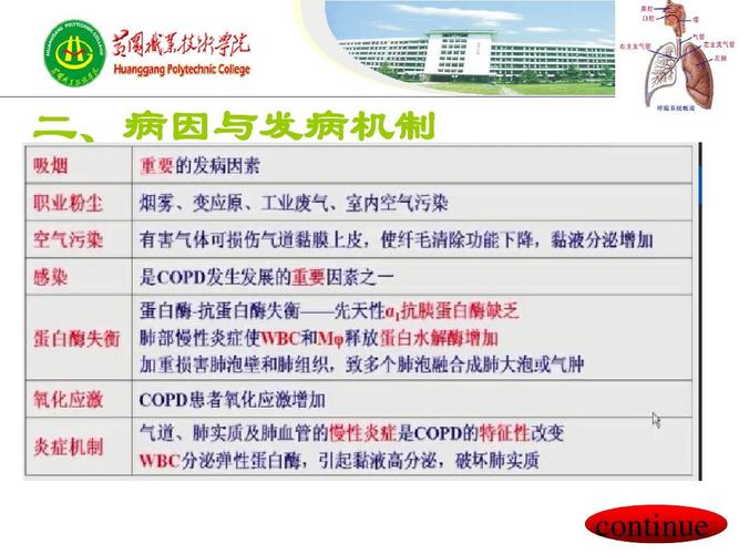 慢性阻塞性肺疾病ppt