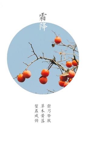 【壁纸】二十四节气之霜降～一年补透透,不如补霜降