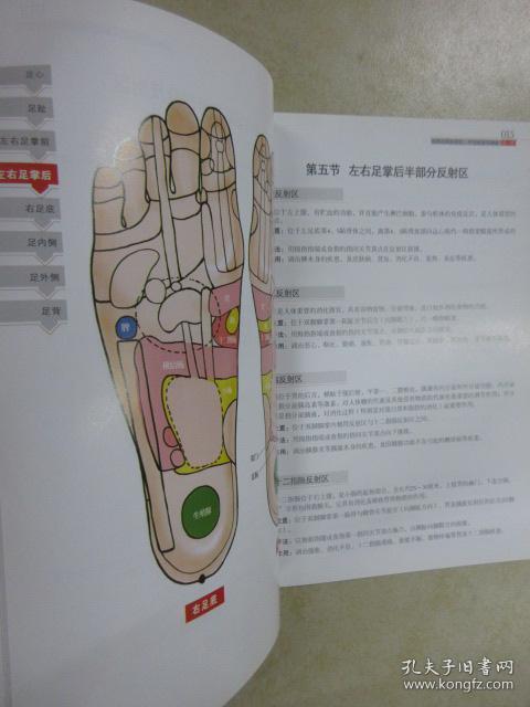 人体反射区使用图册 家庭实用手足耳部保健养生指南