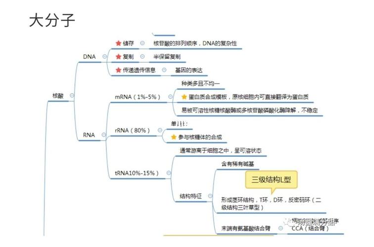 医学细胞生物学思维导图