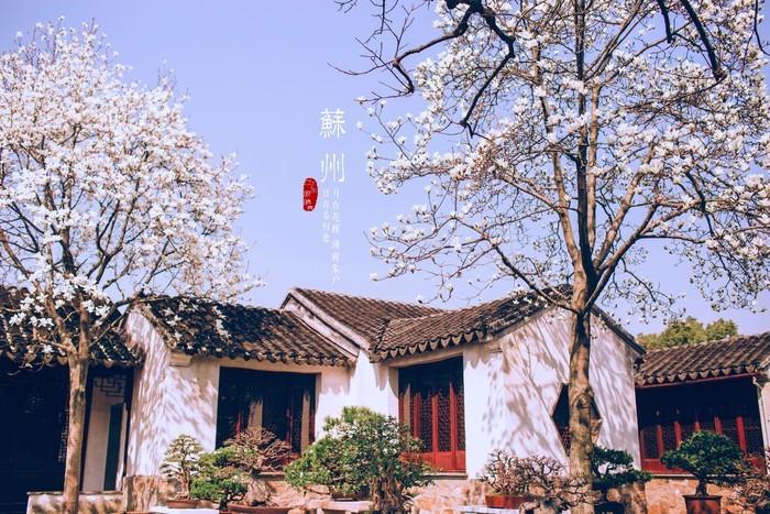 我来江南看看苏州,也看看春天图片248,苏州旅游景点,风景名胜 - 马