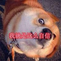 就是这么自信搞笑图片 我就是这么自信带字图_微信头像图片大全