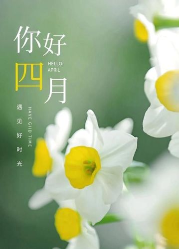 芳菲四月 梦想绽放———愿701班孩子像春天一样美好