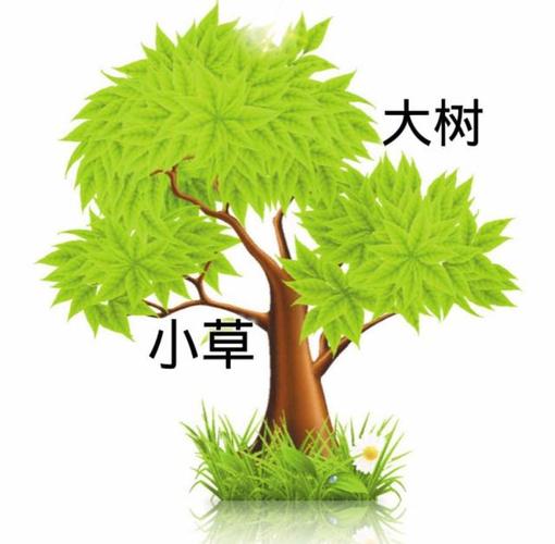 《大树和小草》诗一首,如果有选择,你愿意活成小草还大树?