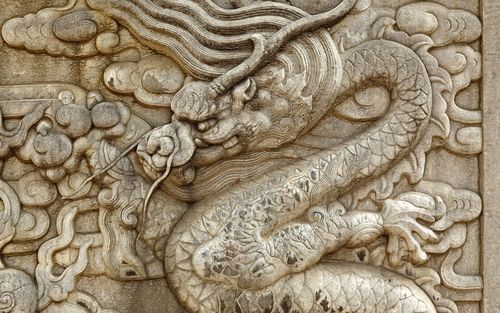 十二生肖中国龙高清摄影图片桌面壁纸