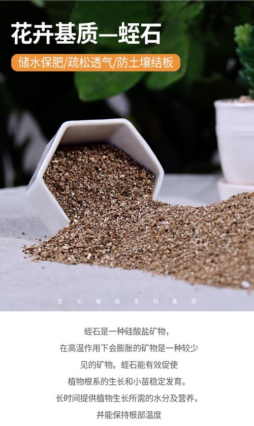 生长魔励 家庭园艺蛭石颗粒养花介质多肉植物盆栽扦插育苗基质