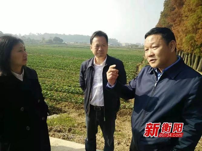 李忠明,王阿亮,何秋生,李方卿:四个小故事祁东大变化