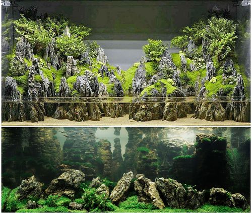未酸洗青龙石小假山制作鱼缸微景观