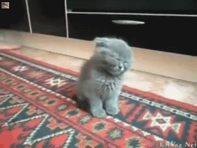 打瞌睡经典动图集 周一你就是这样的状态