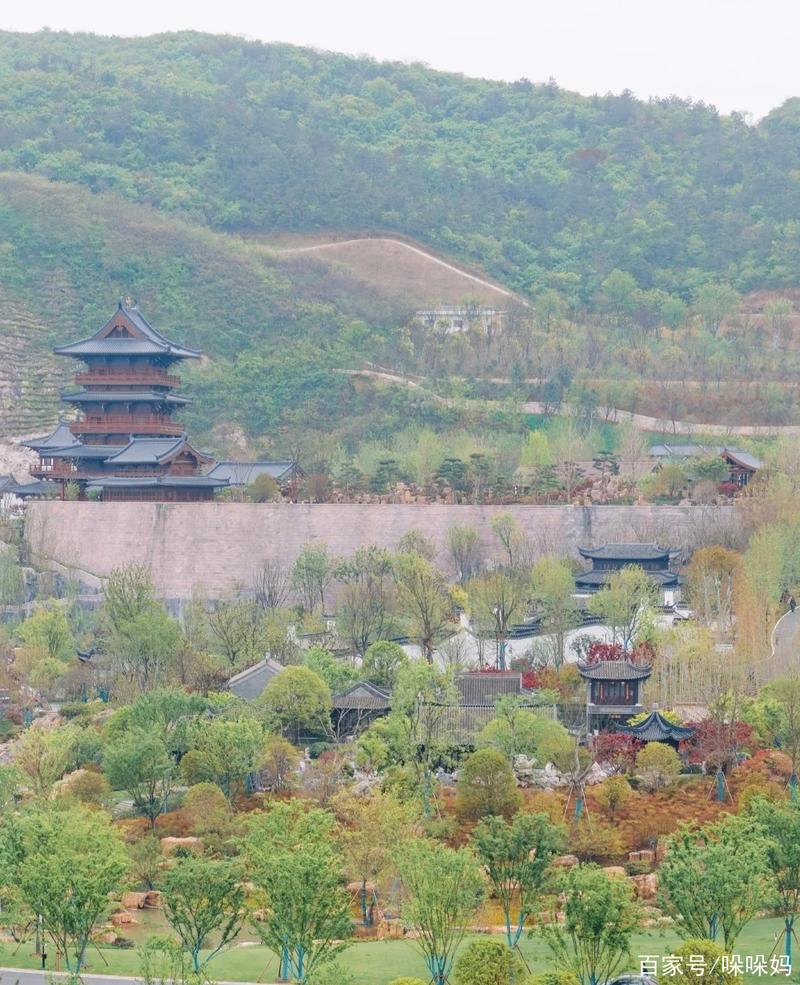 到了南京,不得不来的园博园