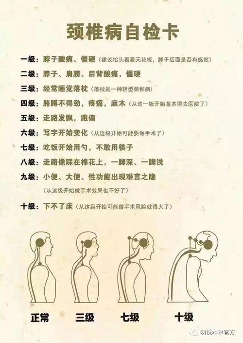 解析肩颈部位对人的重要性