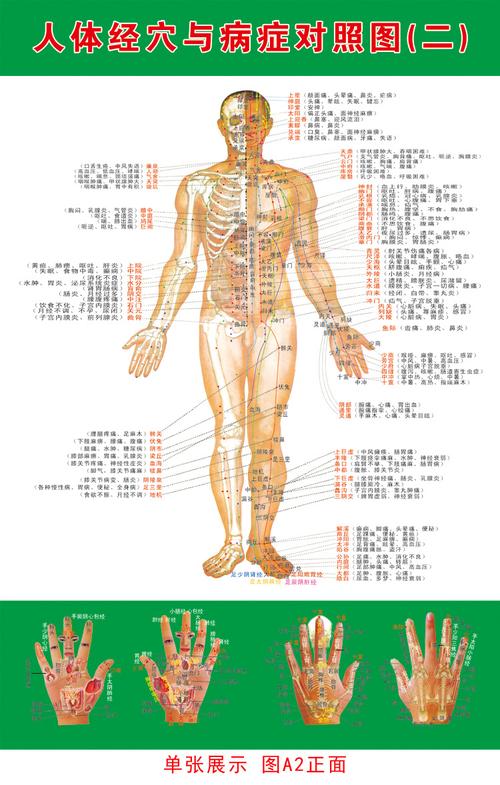 人体经穴与病症对照大挂图 人体经络穴位图艾灸按摩家用挂画