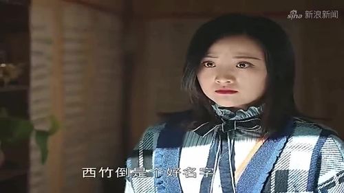 司藤:小西竹长大后寻找司藤和秦放