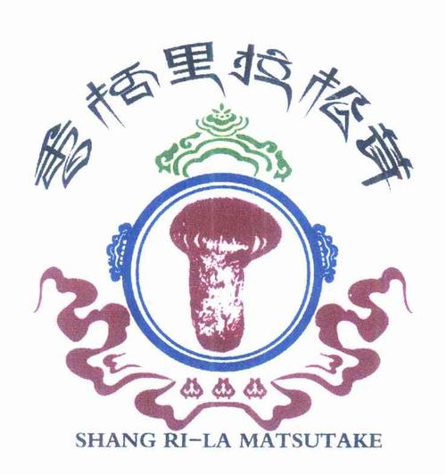 香格里拉松茸 shang ri-la matsutake