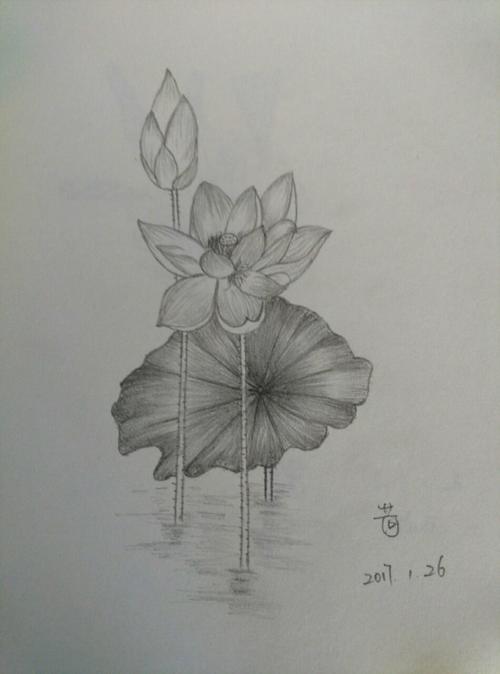 d83-90 | 突然迷上了用铅笔画画