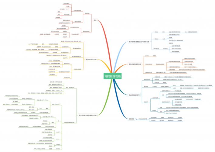 生理学整理思维导图8肾的排泄功能pdf1页